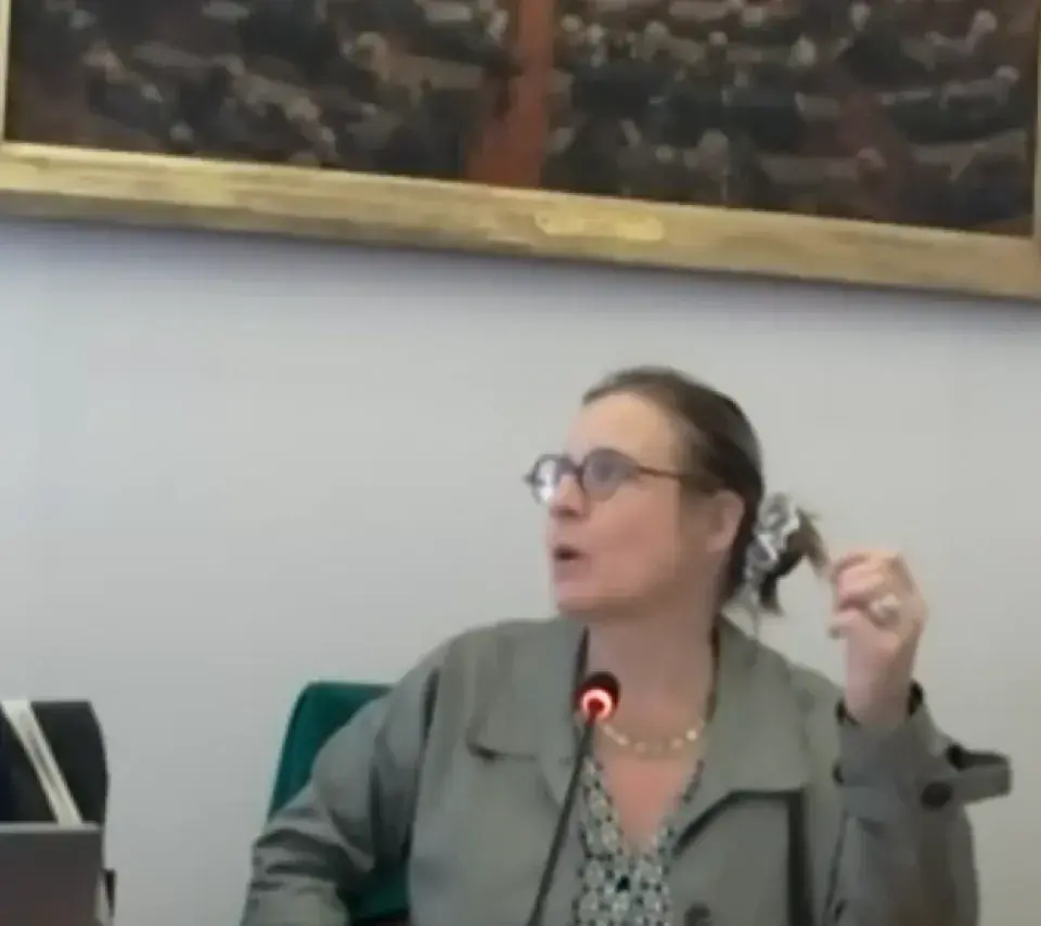 Extrait de la table-ronde du workshop sur le plomb qui s'est tenu au Sénat le 17 mai 2024