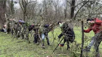 une dizaine de personnes en extérieur semblant emmêler ou s'emmêler dans des plantes tendues à l'horizontal sur plusieurs niveaux sur environ 1,5 m de hauteur, comme des vignes